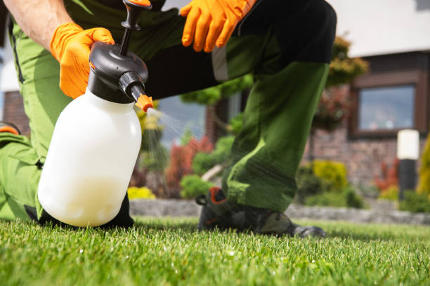 Best Insect Control  in Sperry, OK