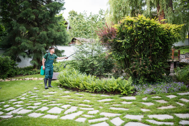 Best Wasp Removal Services  in Sperry, OK