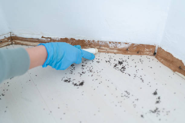 Best Pest Control for Businesses  in Sperry, OK