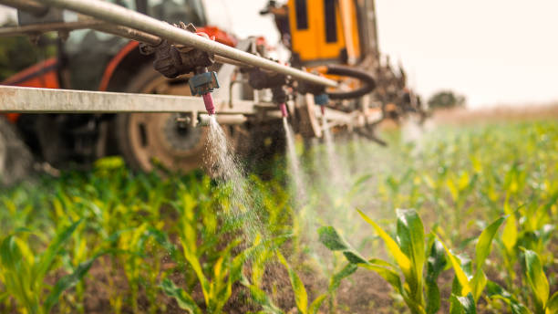 Best Best Pest Control Companies  in Sperry, OK